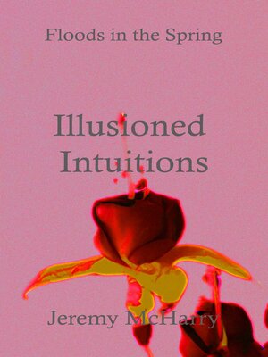 cover image of Illusioned Intuitions